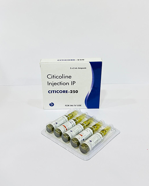 CITICORE 250