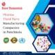 Pharma Third Party Manufacturing Companies in Panchkula